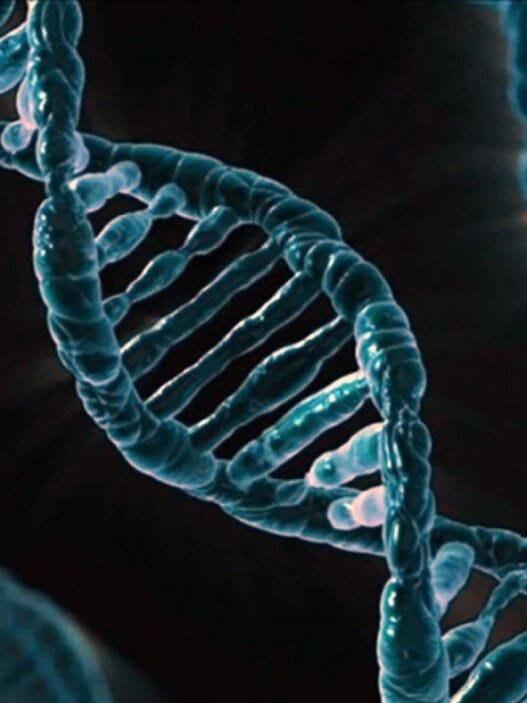 Araştırmacılar, Herediter Anjioödem Hastalığında Başarılı Bir Gen Tedavisinin İlk Aşamasını Tamamladı