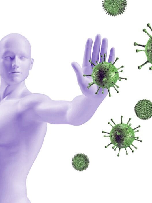 Bağışıklık Sistemi