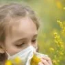 Polen Alerjisi Nedir? Belirtileri ve Tedavi Yöntemleri