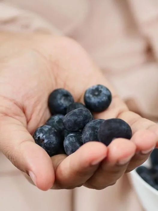 20 Yıllık Çalışma: Flavonoid Zengini Gıdalar Hafızayı Keskin Tutabilir