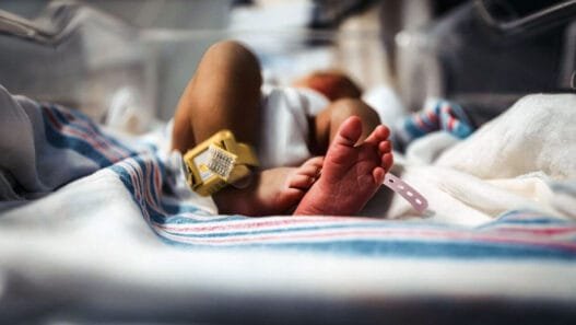 Avrupa’nın Doğurganlık Krizi