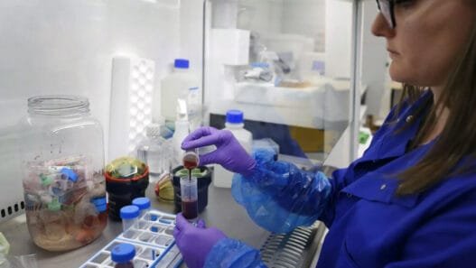 Bağırsakta Gizlenen Kanser Tetikçileri