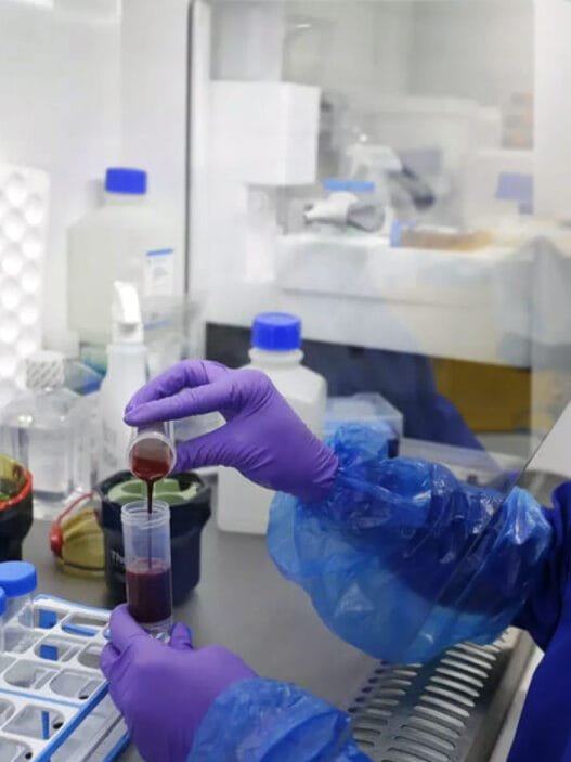 Bağırsakta Gizlenen Kanser Tetikçileri