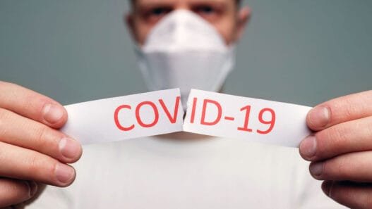 COVID-19'un Vuhan Kökenlerini Aydınlatabilecek Hayvan Türleri Belirlendi