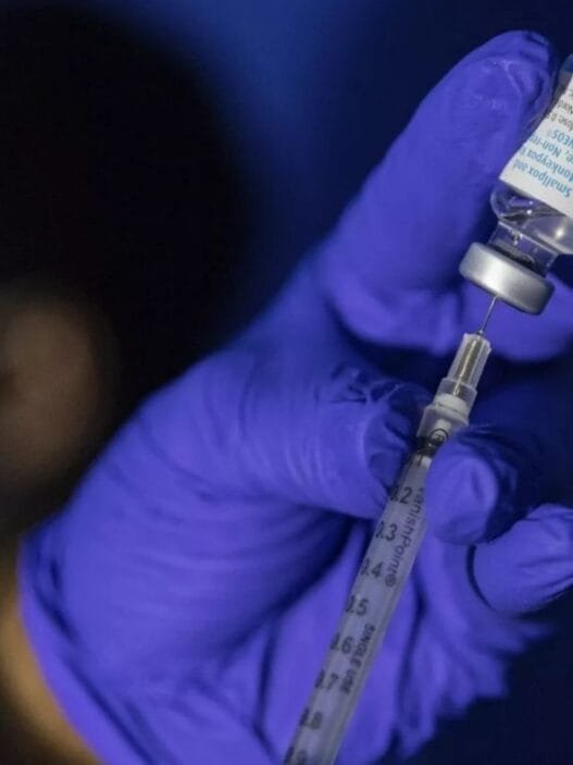 Uzmanlar Açıkladı: Maymun Çiçeği COVID-19 Gibi Bir Pandemiye Dönüşebilir mi?