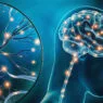 Yutkunmanın Sineklerde Serotonin Salınımını Tetiklediği Keşfedildi: Araştırma