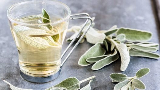 Adaçayının Bilinmeyen Faydaları ve Doğru Kullanım Yolları