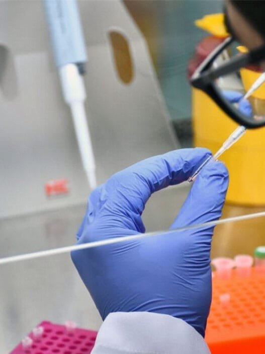 Yerli Kuduz Aşısı