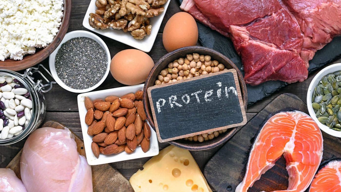 Protein