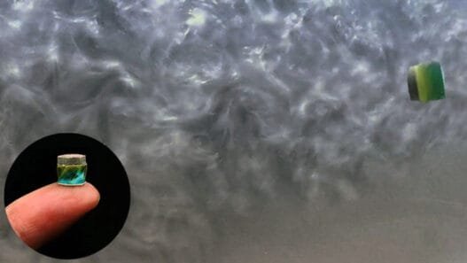 Vücutta Gezen ‘Transformers’