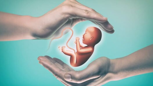 Tüp Bebek Tedavisi