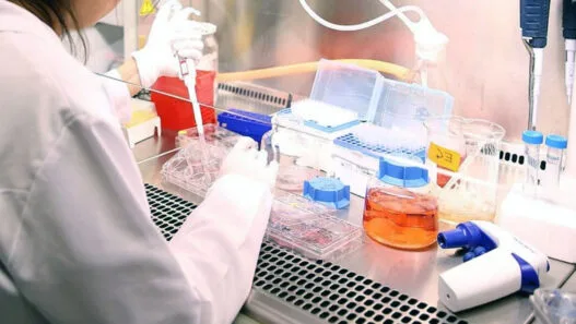 Yapay Zeka ile Kanser Tanısı