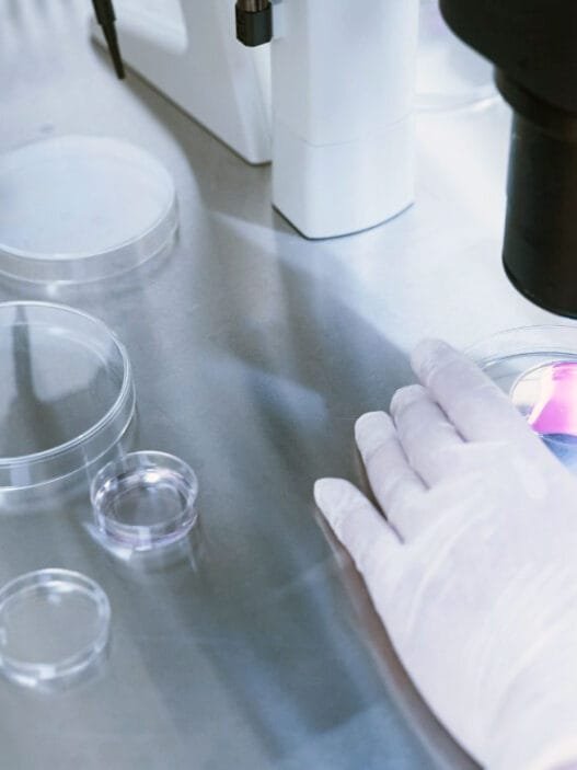 İlaçsız Tüp Bebek Tedavisi