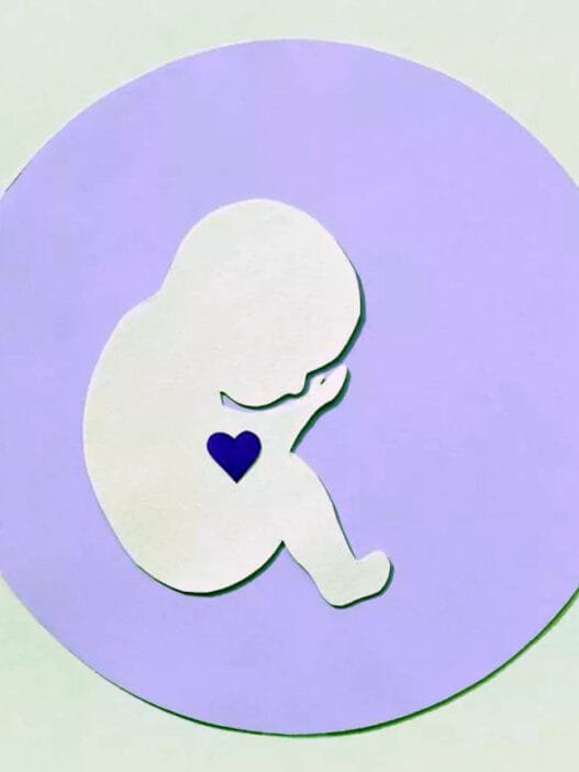 Araştırma: Tüp Bebekle Doğan Bebeklerde Kalp Kusuru Riski Daha Yüksek