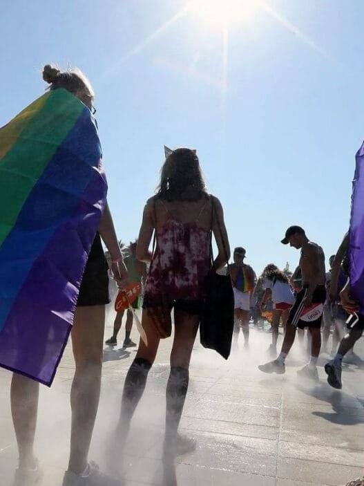 Fransa LGBT Tüp Bebek