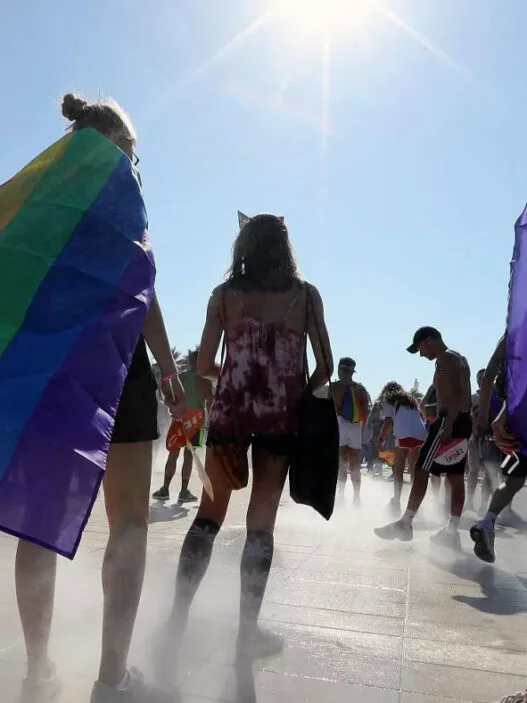 Fransa LGBT Tüp Bebek