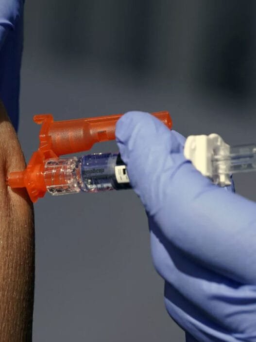 Avrupa Grip Salgını