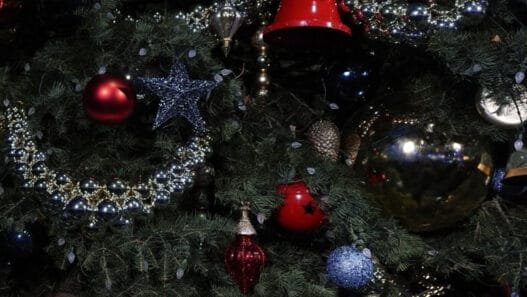 Belçika Gıda Ajansı’ndan Uyarı: Noel Ağacınızı Yemeyin