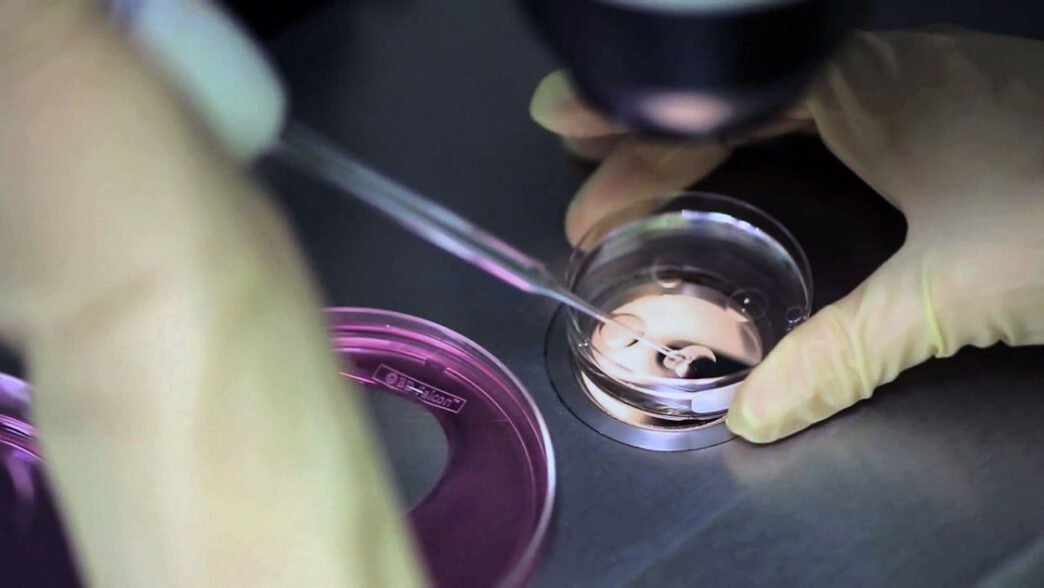 Tüp Bebek Tedavisinde Embriyolar