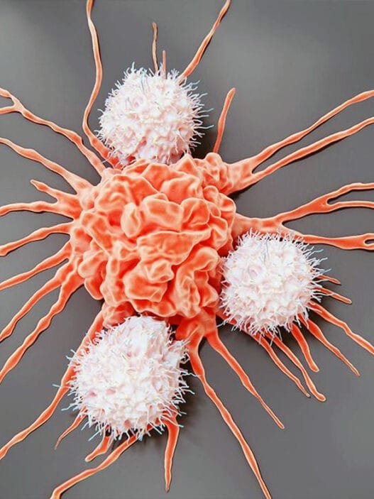 Çocukluk Çağı Kanserlerinde Tedavi Başarı Oranı Artıyor